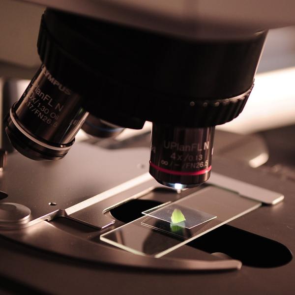 Photo of microscope