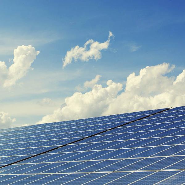 Image of solar panels